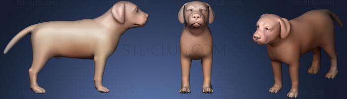 3D model Dog Base Volume 01 (STL)